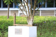 广西财经学院校园风光